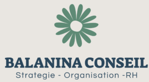logo-balanina-conseil